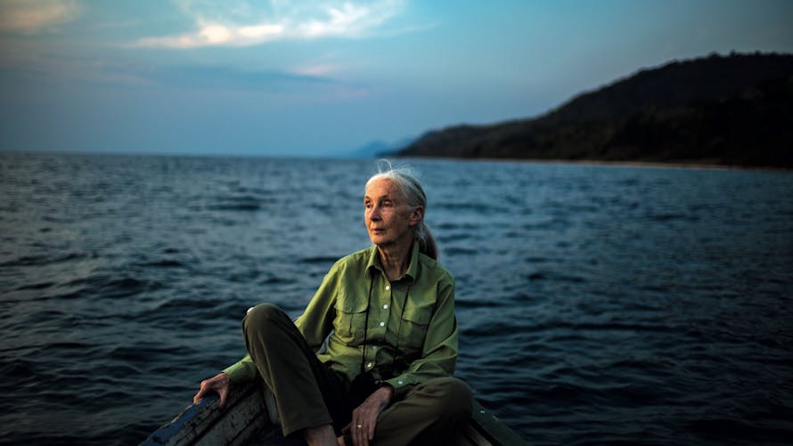 Jane Goodall