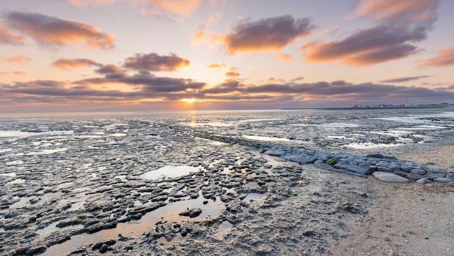mer des wadden