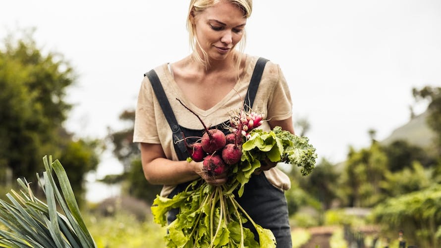 agriculture