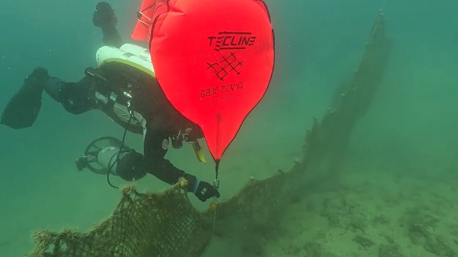 Healthy Seas