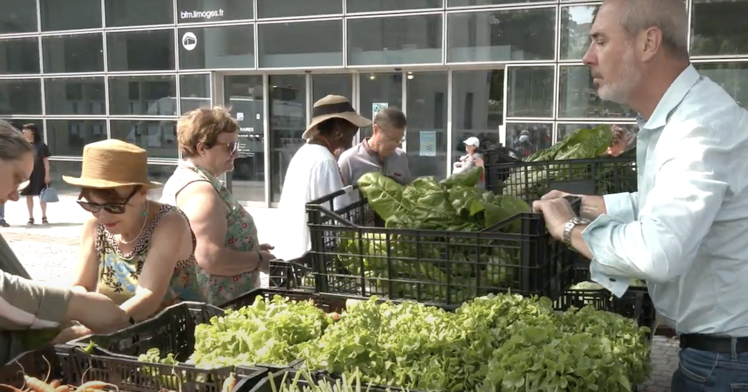 distribution de légumes limoges