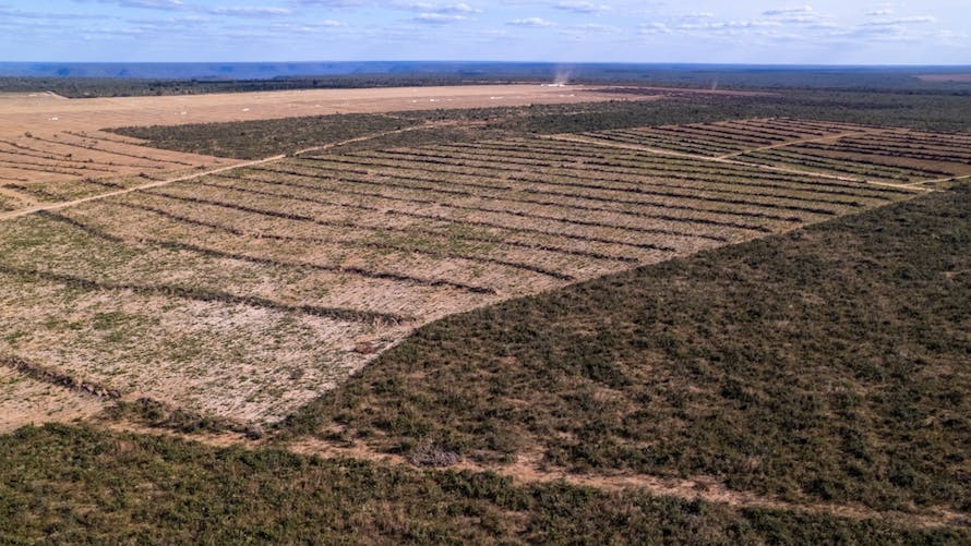 déforestation brésil