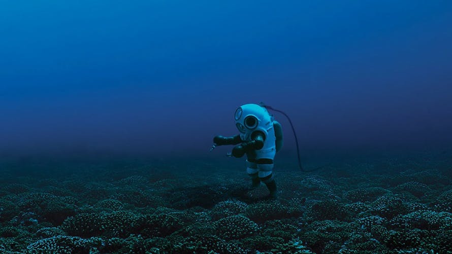 Sylvia Earle