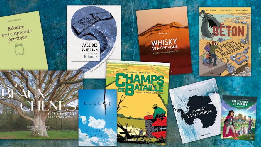 livres noël 2024
