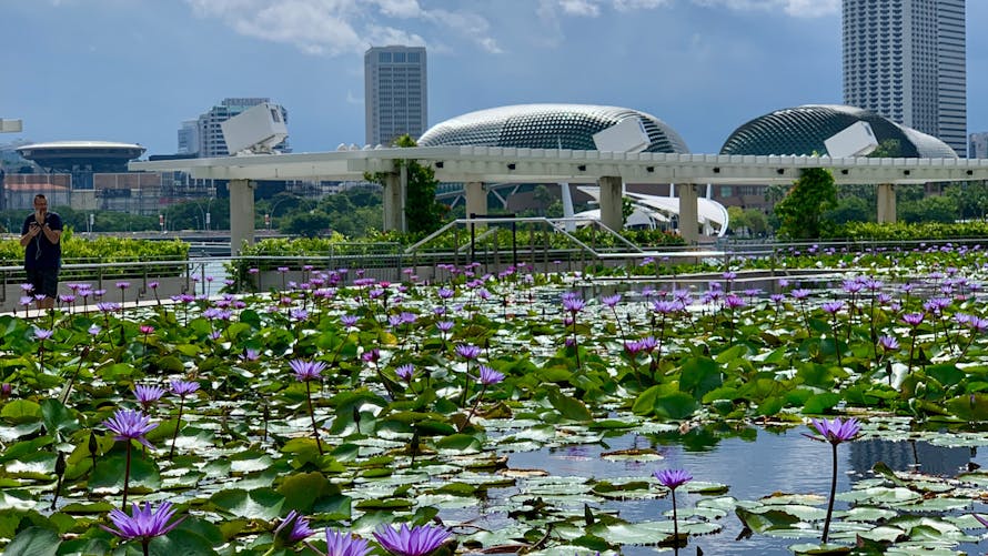 Singapour