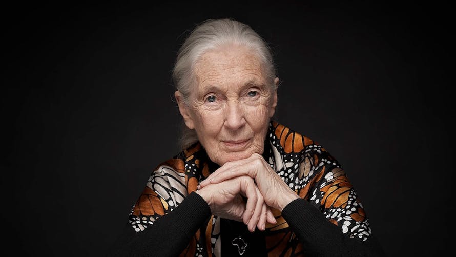 Jane Goodall