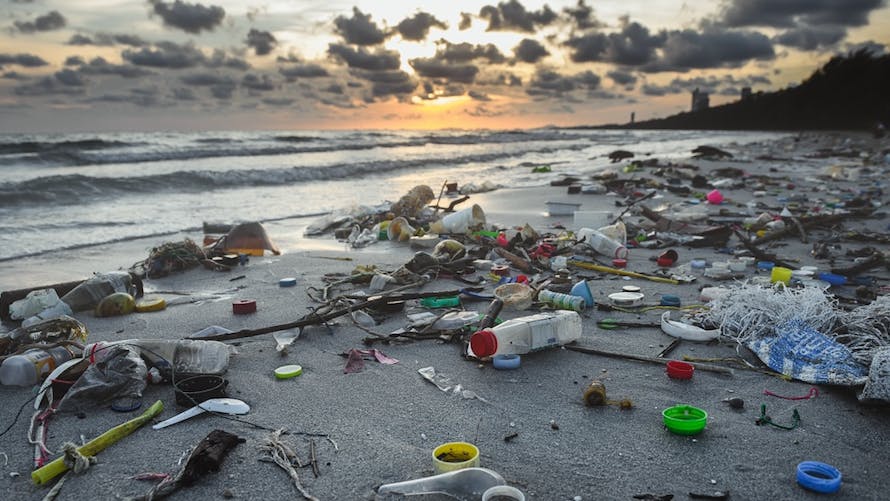 pollution plastique