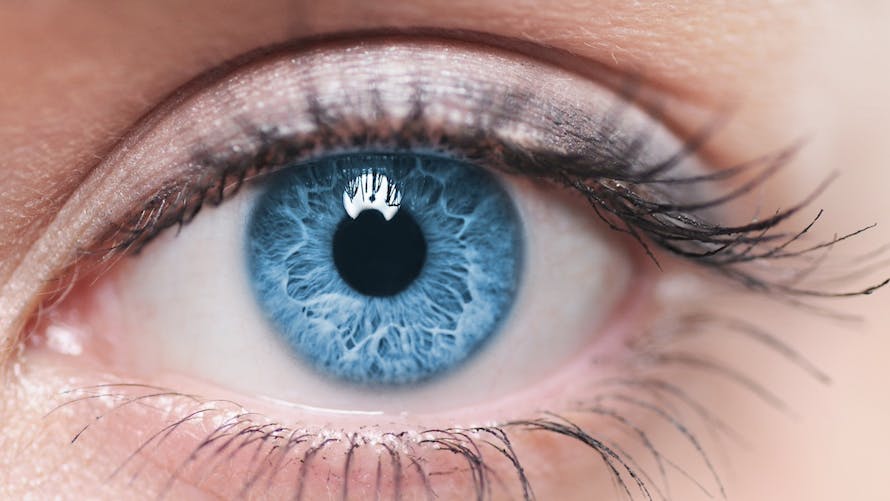vision oeil