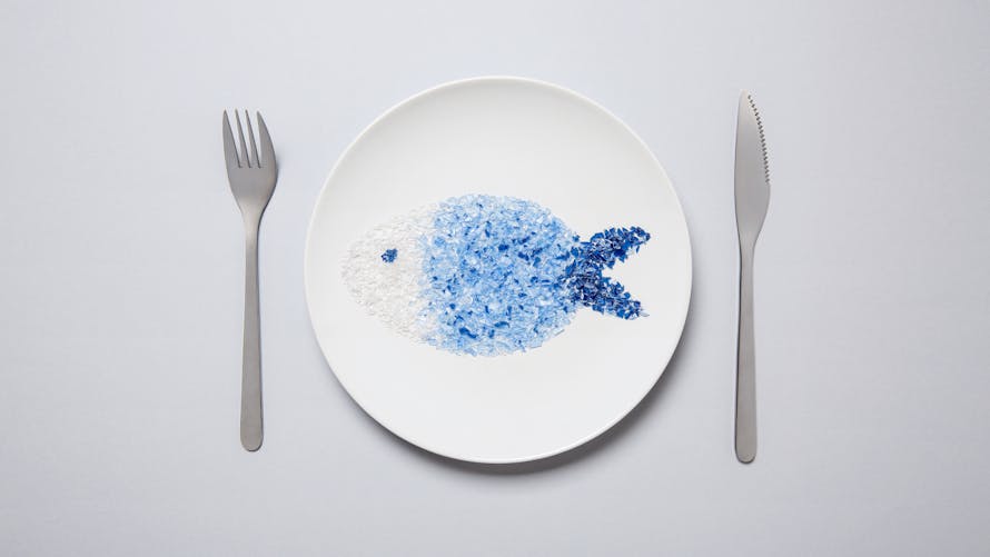 santé plastique