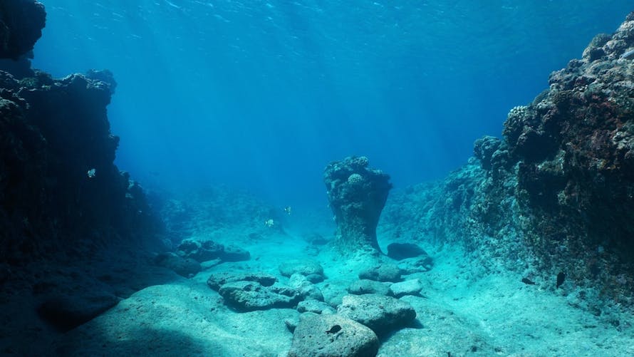 exploitation des fonds marins