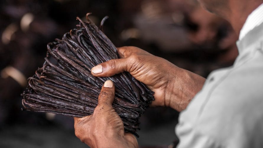 vanille de madagascar