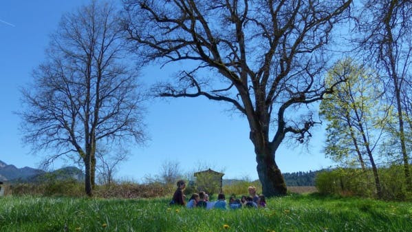 Dans la Drôme, cette école participative forme les jeunes générations à l'écologie