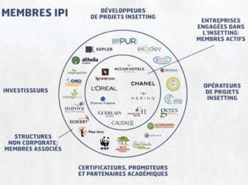 Quand la blockchain permet de certifier le bilan carbone des grandes entreprises
