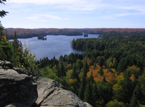 Revenu de base : La province de l’Ontario va verser 1 320 $ par mois à tous ses habitants