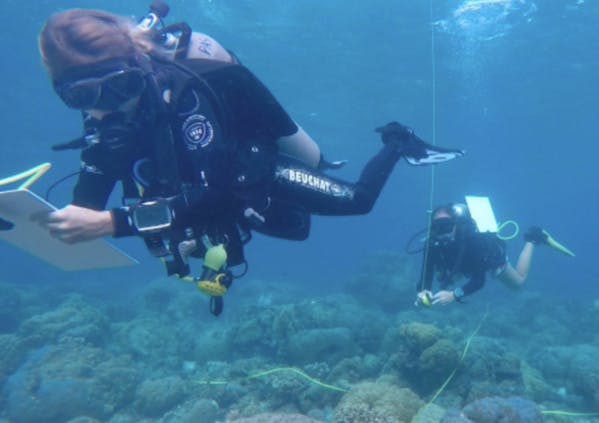 People and the Sea : Quand la conservation marine devient source de cohésion