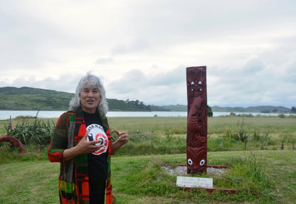Nouvelle Zélande : Quand une ville māorie s'érige en modèle de transition locale