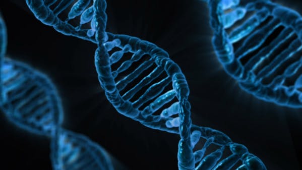 Pour la première fois, le Royaume-Uni autorise les bébés conçus à partir de 3 ADN