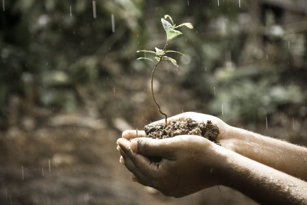 Présidentielle : 14 propositions de la Fabrique Écologique pour peser sur le débat