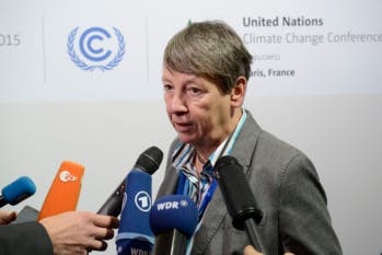 En Allemagne, la politique anti-viande de la ministre de l'Environnement divise