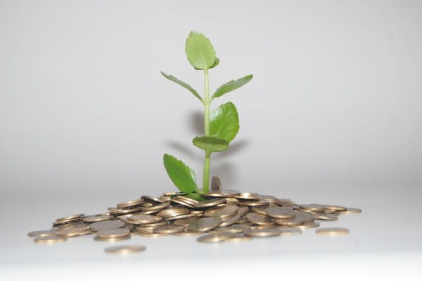 Oui au revenu universel, mais en monnaies complémentaires