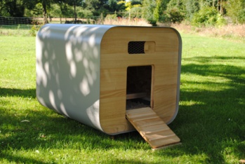 Proximité, qualité, réduction des déchets : trois start-up qui rendent les poules heureuses