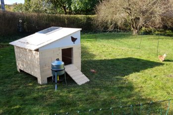 Proximité, qualité, réduction des déchets : trois start-up qui rendent les poules heureuses