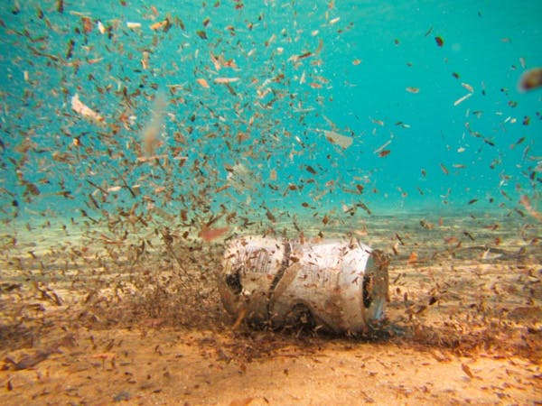 La pollution humaine atteint des profondeurs inédites, à 10 kilomètres sous les mers