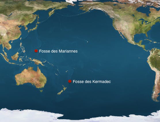 La pollution humaine atteint des profondeurs inédites, à 10 kilomètres sous les mers