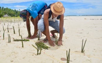 Pacific Climate Warriors : en première ligne pour lutter contre les changements climatiques