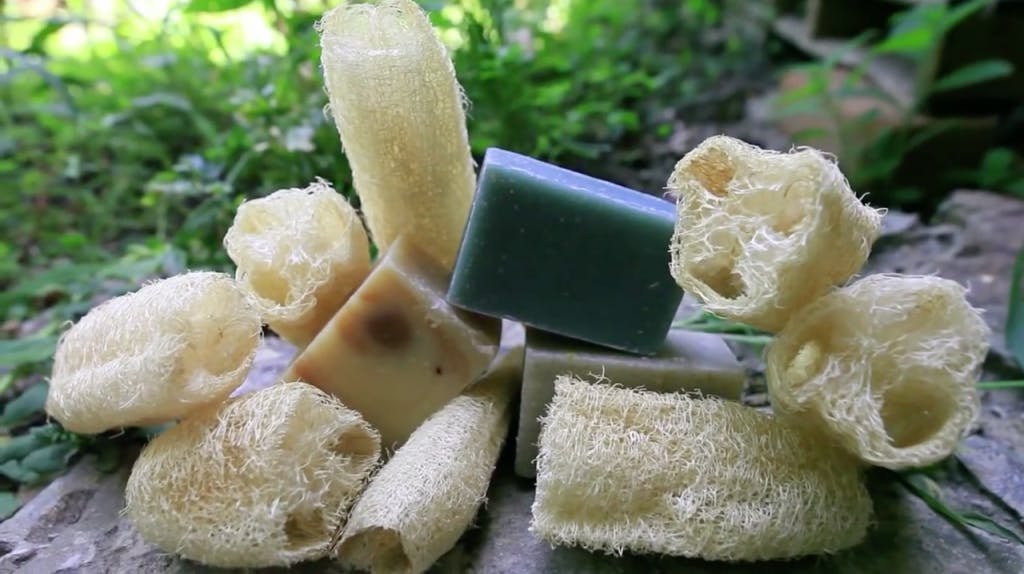 Zéro plastique dans votre cuisine : trois solutions simples pour passer à l'acte