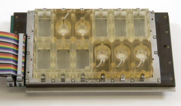 À base d'électronique et de cellules vivantes, cet appareil imite l'appareil reproducteur féminin