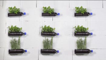 Cinq idées pour une décoration zéro déchet en bouteilles d’eau recyclées