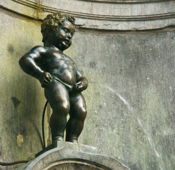 Convertir l'urine en énergie, une idée en or pour les festivals d'été !