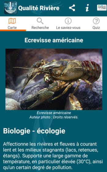 Cette appli dévoile l'état environnemental de tous les cours d'eau en France
