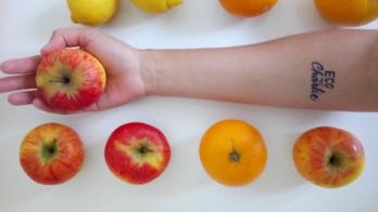 Les éco-charlie, cette asso qui récupère et redistribue 1 tonne d’aliments invendus par mois