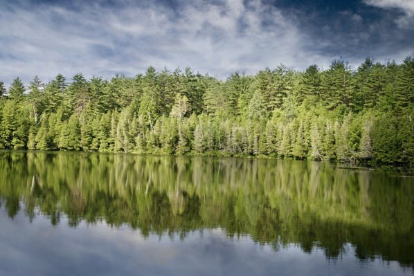Dans ces pays, la nature a les mêmes droits que les hommes