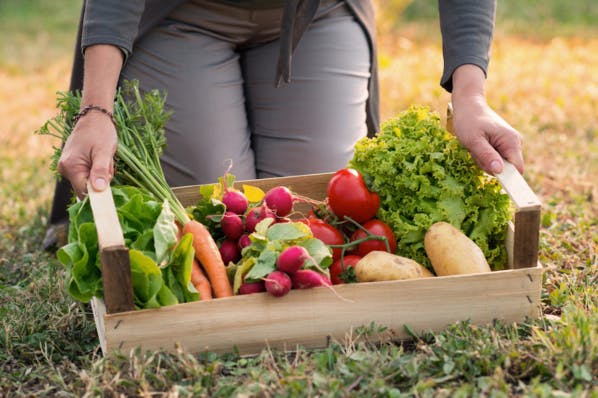 Bio : face aux marges folles des supermarchés, l'achat direct aux producteurs se développe