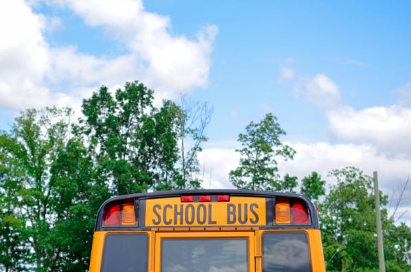 Je vous écris de Nouvelle-Zélande, où l’école se métamorphose