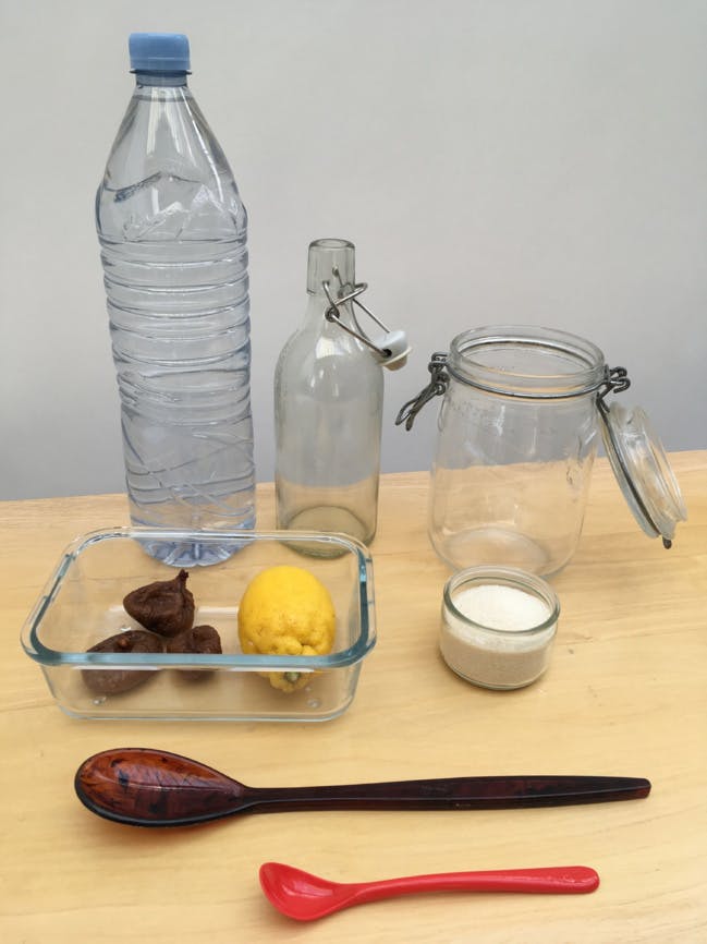 Eau, sucre, citron, figues... les éléments nécessaires pour créer sa boisson au kéfir.