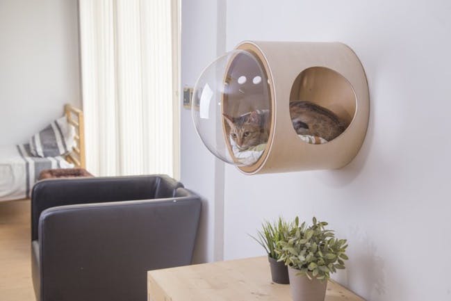 Pour rendre votre chat heureux, offrez lui une niche