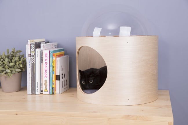 Pour rendre votre chat heureux, offrez lui une niche