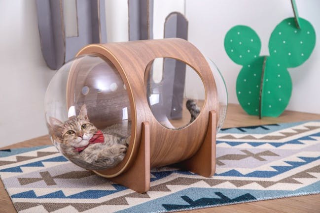 Pour rendre votre chat heureux, offrez lui une niche