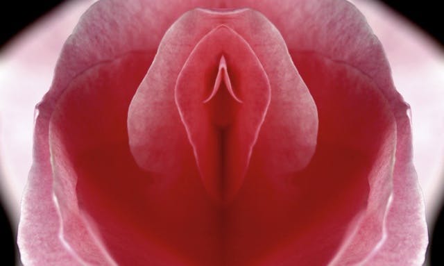 Les plantes, ces obsédées sexuelles
