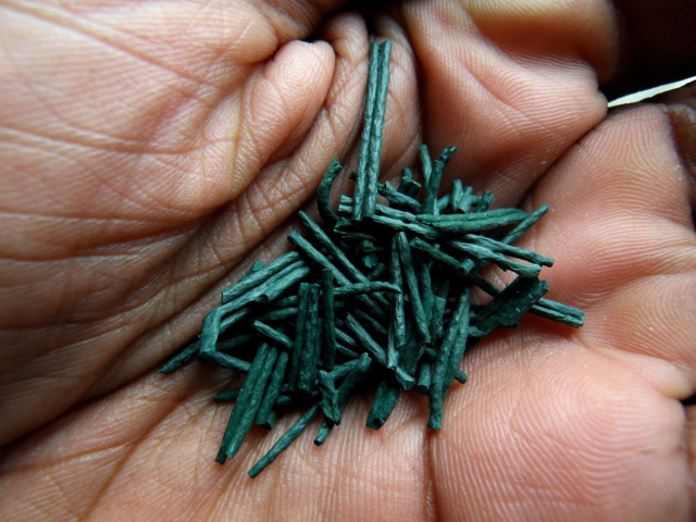 Spiruline : un superaliment, vraiment ?