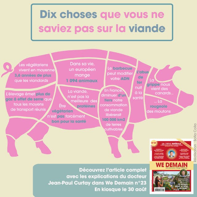 Pour sauver la planète, diminuons d’un tiers notre consommation de viande