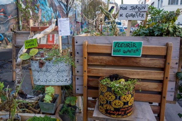 Envie de vert en ville ? Demandez votre permis de végétaliser !
