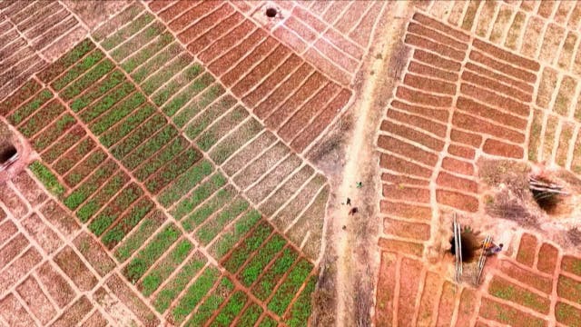 COP21 : voici comment s'est vraiment négocié l'Accord de Paris
