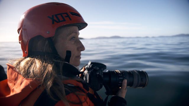Céline Cousteau sur les traces de son grand-père