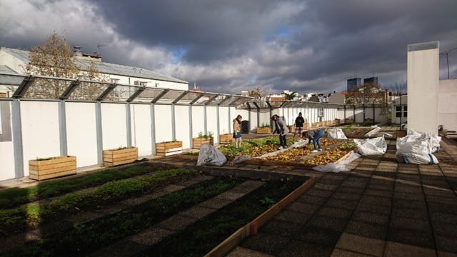 À Paris, ces collégiens financent leur ferme urbaine