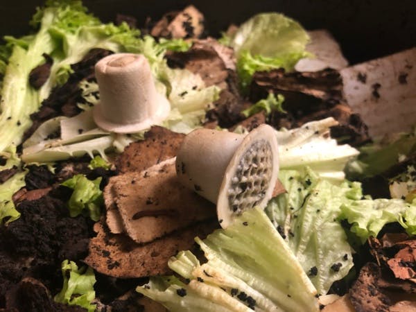 On a testé : les premières capsules de café 100 % compostables